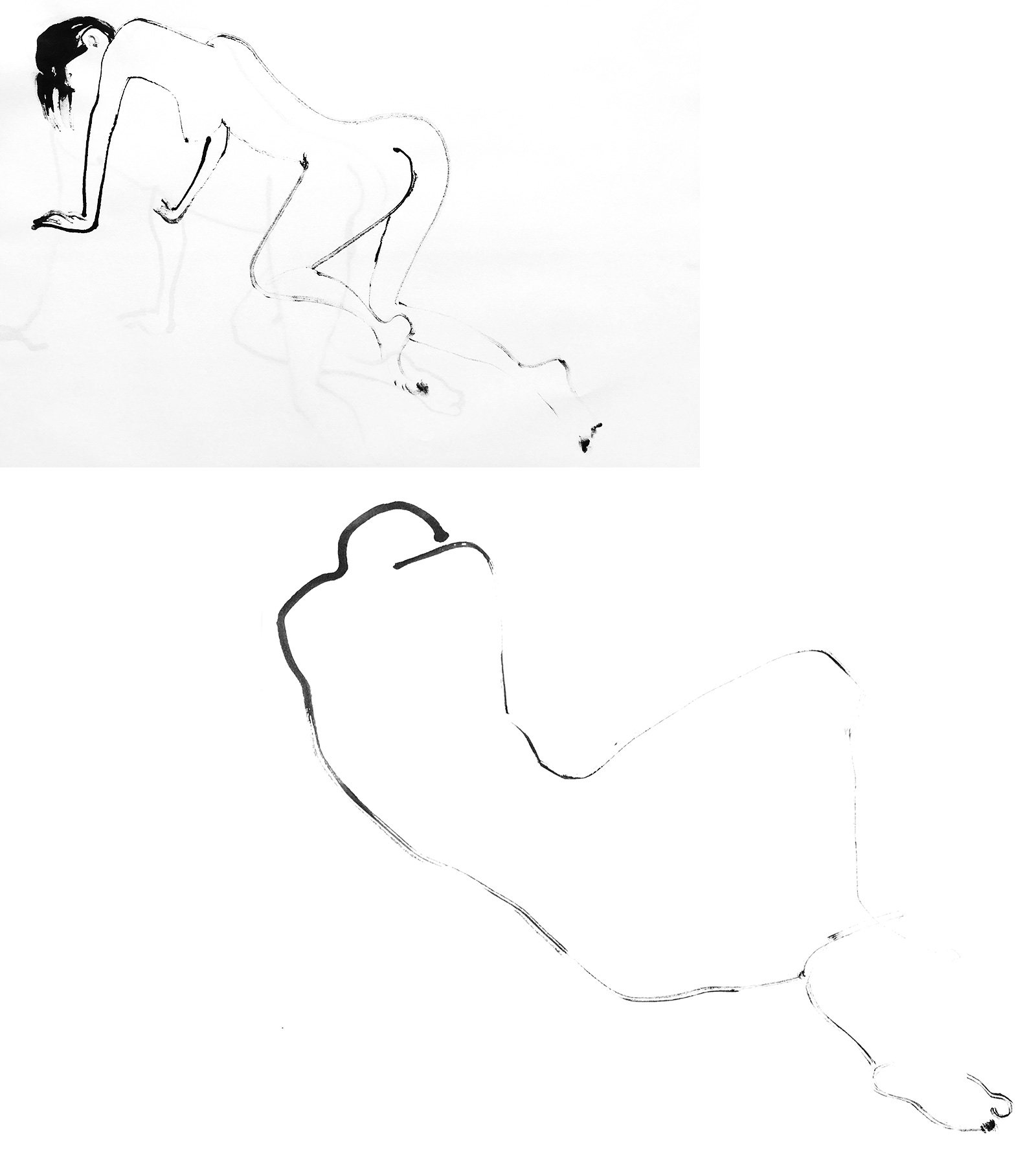 compo_5
