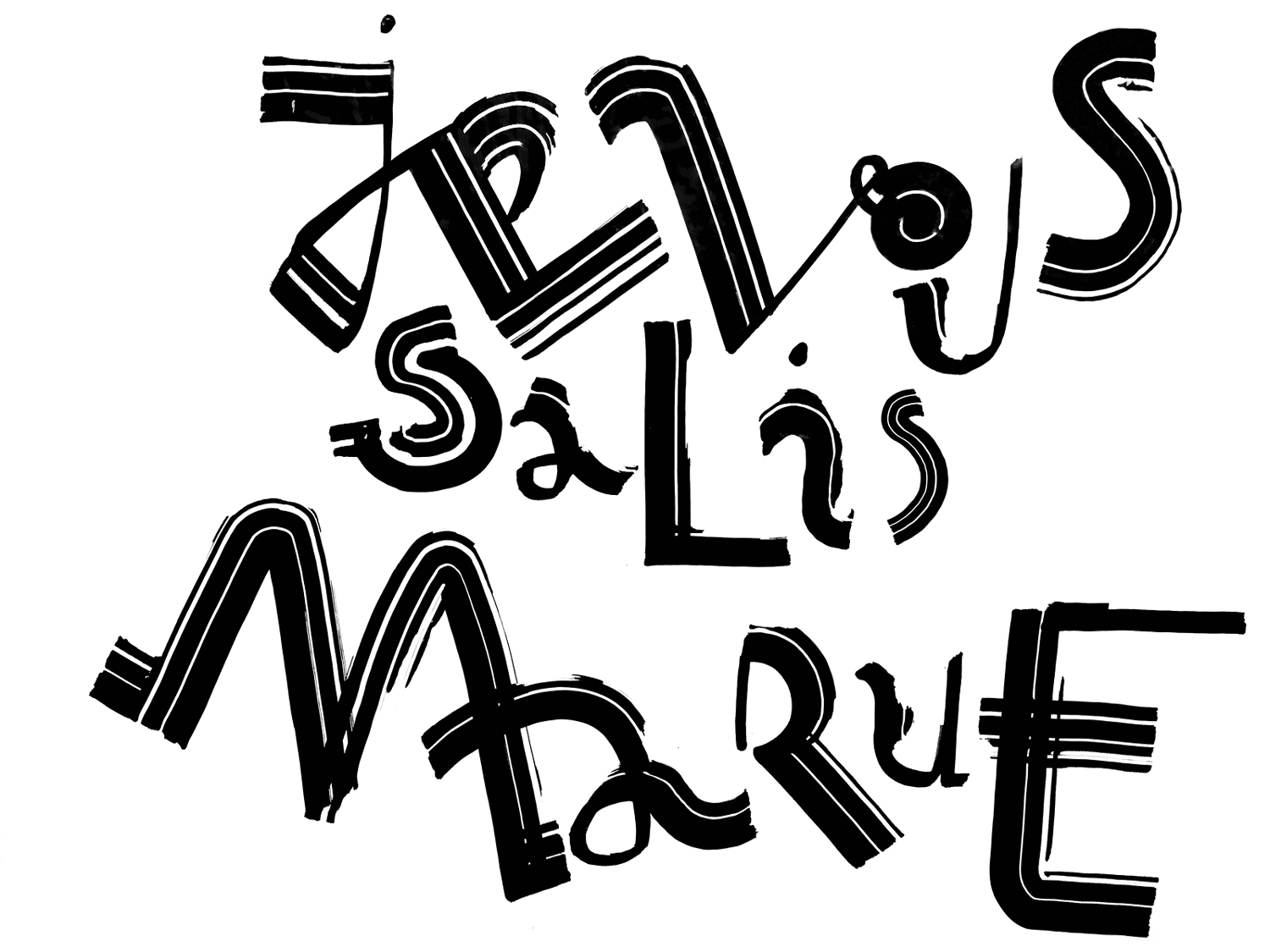 je_vous_salis_bis